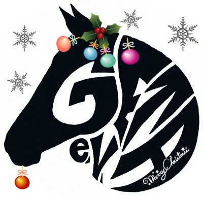 GETA e.V. Logo, weihnachtlich bearbeitet